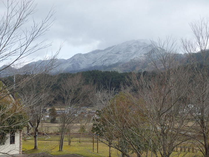 仲間 31 鰤 と たち な 残念